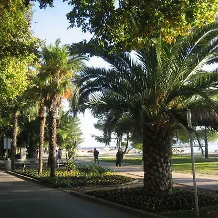 Delfin Apartment