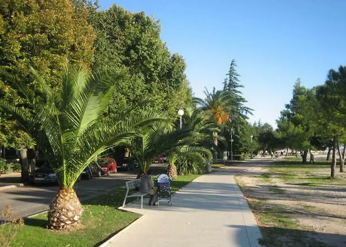 Apartment Delfin Crikvenica